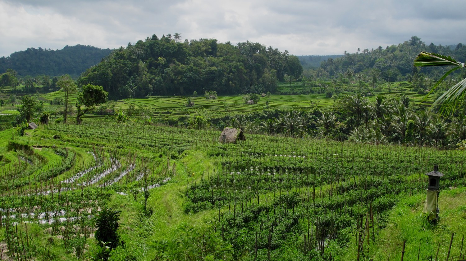 Sidemen road - Bali