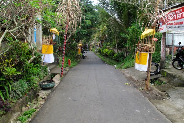 Bali Ubud