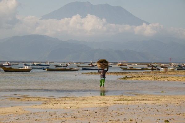 Nusa Lembogan à Bali