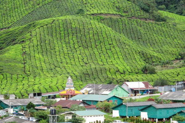 Malaisie Cameron Highlands village