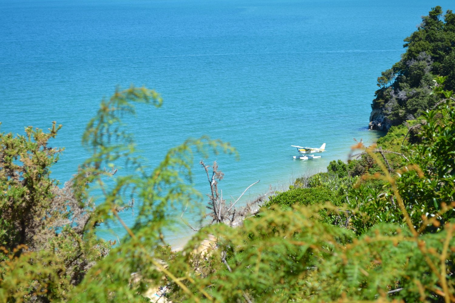 Nouvelle Zelande Abel Tasman National park