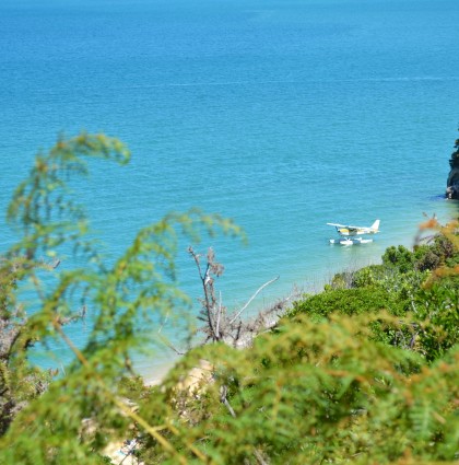 Au menu de Noël dans l’Abel Tasman National Park