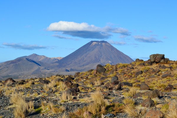 Nouvelle Zelande Tongariro NP 2