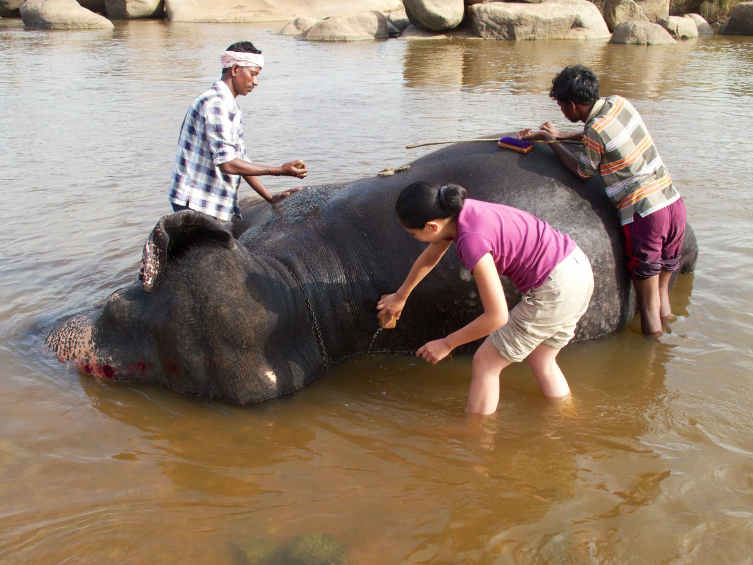 voyage en inde hampi elephant