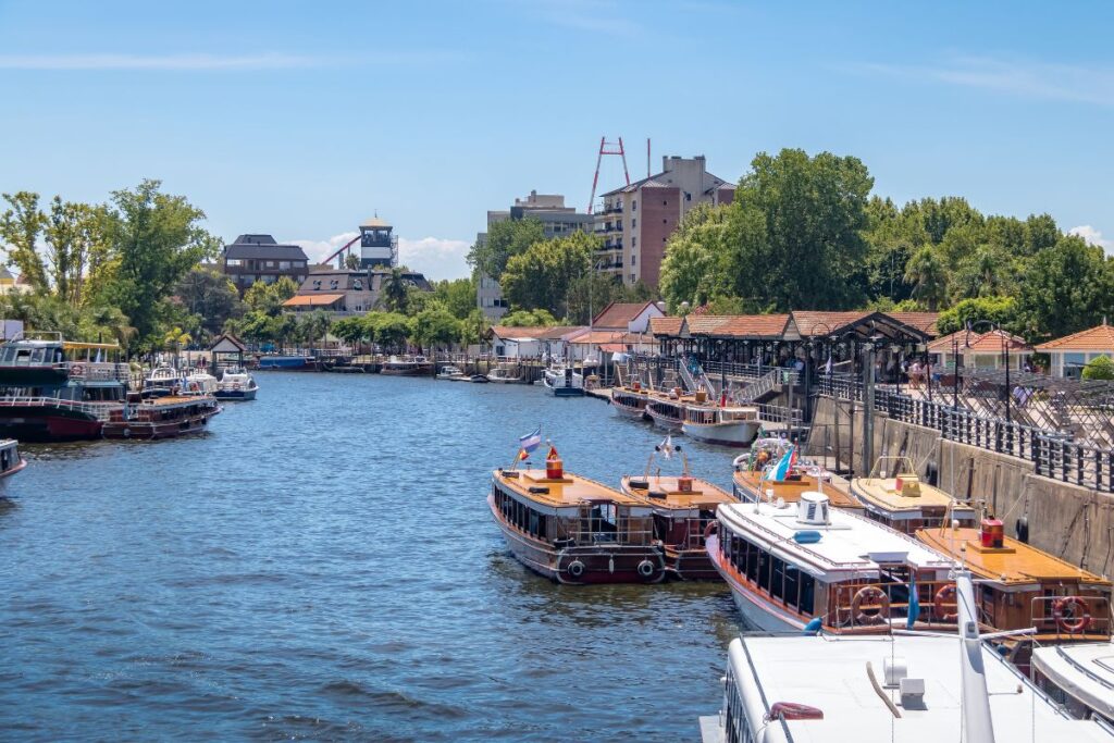 Delta el tigre
